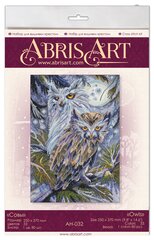 Siuvinejimo Rinkinys Abris Art Owls AH-032 цена и информация | Принадлежности для вышивания | pigu.lt