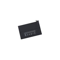 Akumuliatorius ORG skirtas iPad Mini 2/ 3 A1489/ A1490/ A1491 6471mAh цена и информация | Аксессуары для планшетов, электронных книг | pigu.lt