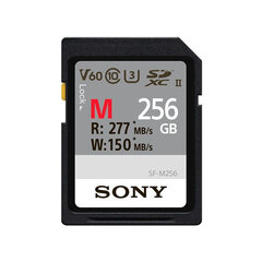 Sony Sdxc Professional 256GB Class 10 UHS-II цена и информация | Карты памяти для фотоаппаратов, камер | pigu.lt