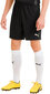 Futbolo šortai vyrams Puma TeamGoal 23 Knit Shorts 704262 03, juodi kaina ir informacija | Futbolo apranga ir kitos prekės | pigu.lt