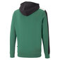 Puma džemperis vyrams Ess+ Block Hoodie 847428 37, žalias kaina ir informacija | Džemperiai vyrams | pigu.lt