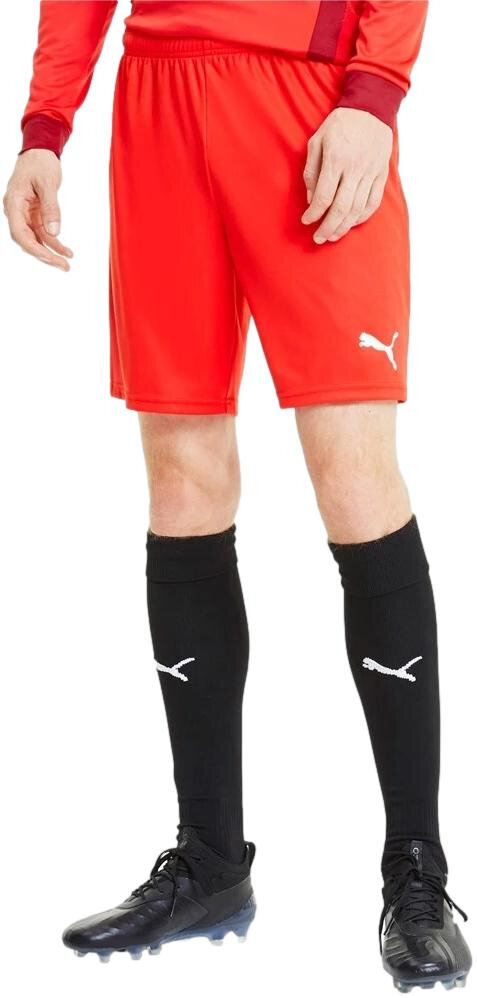 Futbolo šortai vyrams Puma TeamGoal 23 Knit Shorts 704262 01, ,raudoni kaina ir informacija | Futbolo apranga ir kitos prekės | pigu.lt