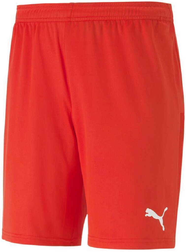 Futbolo šortai vyrams Puma TeamGoal 23 Knit Shorts 704262 01, ,raudoni kaina ir informacija | Futbolo apranga ir kitos prekės | pigu.lt