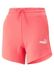 Šortai moterims Puma Essentials High Waist Loveable 234238063, rožiniai kaina ir informacija | Moteriški šortai | pigu.lt