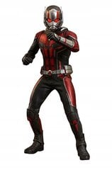 Avengers Ant-man, 28cm kaina ir informacija | Žaidėjų atributika | pigu.lt