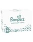 Sauskelnės Pampers Premium Protection 5 (11-16 kg), 148 vnt. kaina ir informacija | Sauskelnės | pigu.lt