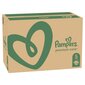 Sauskelnės Pampers Premium Protection 5 (11-16 kg), 148 vnt. kaina ir informacija | Sauskelnės | pigu.lt