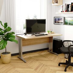 Стол компьютерный БМ-135, коричневато-серый цена и информация | Компьютерные, письменные столы | pigu.lt