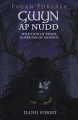Pagan Portals - Gwyn ap Nudd - Wild god of Faery, Guardian of Annwfn: Wild god of Faery, Guardian of Annwfn цена и информация | Самоучители | pigu.lt