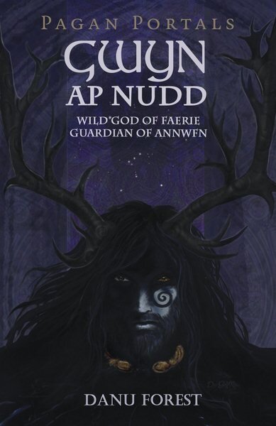 Pagan Portals - Gwyn ap Nudd - Wild god of Faery, Guardian of Annwfn: Wild god of Faery, Guardian of Annwfn цена и информация | Saviugdos knygos | pigu.lt