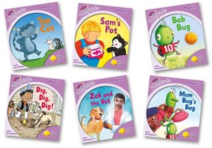 Oxford Reading Tree Songbirds Phonics: Level 1plus: Mixed Pack of 6, Level 1plus, Pack of 6 цена и информация | Книги для подростков  | pigu.lt