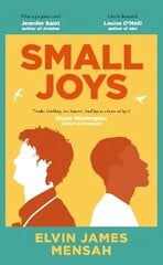 Small Joys: The most moving and uplifting debut novel of 2023 цена и информация | Фантастика, фэнтези | pigu.lt