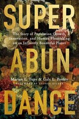 Superabundance: The Story of Population Growth, Innovation, and Human Flourishing on an Infinitely Bountiful Planet kaina ir informacija | Ekonomikos knygos | pigu.lt