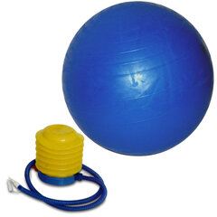 Gimnastikos kamuolys su pompa 75 cm, mėlynas kaina ir informacija | Gimnastikos kamuoliai | pigu.lt
