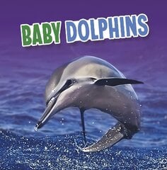 Baby Dolphins цена и информация | Книги для подростков  | pigu.lt