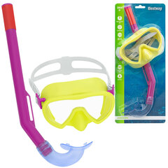 Nardymo rinkinys Bestway Crusader Essential Snorkel, geltonas kaina ir informacija | Nardymo įranga | pigu.lt