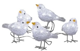 Светящаяся декорация Птицы цена и информация | Рождественские украшения | pigu.lt