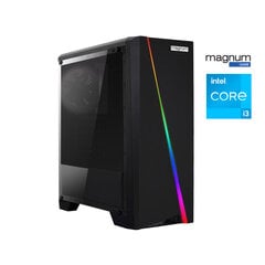 Kompiuteris Magnum Game Intel Core i3-12100F/16GB/1000GB SSD/Radeon RX 6500 XT 4GB цена и информация | Стационарные компьютеры | pigu.lt