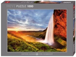 Dėlionė Seljalandsfoss Krioklys, 1000 d. цена и информация | Пазлы | pigu.lt