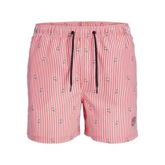 Плавки мужские PSTFIJI JJSWIM MINI STRIPE LY  Jack & Jones 12227350 Розовый цена и информация | Плавки, плавательные шорты | pigu.lt