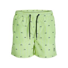 Плавки мужские PSTFIJI JJSWIM MINI STRIPE LY  Jack & Jones 12227350 Зеленый цена и информация | Плавки, плавательные шорты | pigu.lt