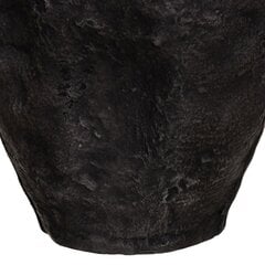 Кувшин Стеклянный Чёрный Позолоченный Металл 15 x 15 x 46 cm цена и информация | Вазы | pigu.lt