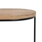 Šoninių 2 - jų staliukų komplektas 60x39,5x60cm, rudas/juodas kaina ir informacija | Kavos staliukai | pigu.lt