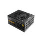 Evga SuperNOVA 1300 GT kaina ir informacija | Maitinimo šaltiniai (PSU) | pigu.lt