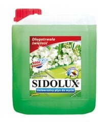 Sidolux valiklis, 5 l kaina ir informacija | Valikliai | pigu.lt