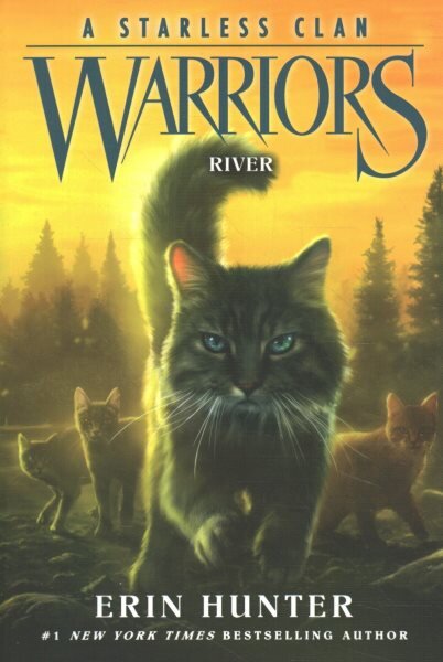 Warriors: A Starless Clan #1: River kaina ir informacija | Knygos paaugliams ir jaunimui | pigu.lt