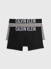 CALVIN KLEIN 2Pk Trunk 520882963 цена и информация | Нижнее белье для мальчиков | pigu.lt