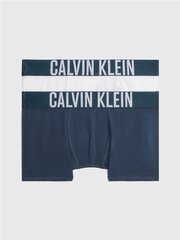 CALVIN KLEIN 2Pk Trunk 520882968 цена и информация | Нижнее белье для мальчиков | pigu.lt