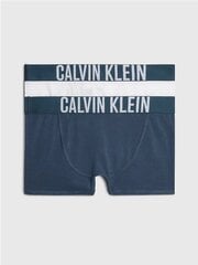 Calvin Klein trumpikės berniukams 520882968, mėlynos kaina ir informacija | Apatiniai drabužiai berniukams | pigu.lt