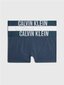 Calvin Klein trumpikės berniukams 520882968, mėlynos цена и информация | Apatiniai drabužiai berniukams | pigu.lt