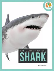 Spotlight on Nature: Shark цена и информация | Книги для подростков  | pigu.lt