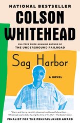 Sag Harbor цена и информация | Фантастика, фэнтези | pigu.lt
