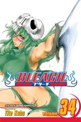 Bleach, Vol. 34: King of the Kill 11th, Vol. 34 kaina ir informacija | Fantastinės, mistinės knygos | pigu.lt