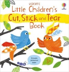 Little Children's Cut, Stick and Tear Book цена и информация | Книги для малышей | pigu.lt