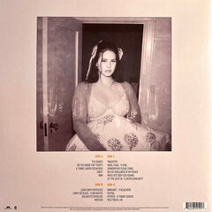 Lana Del Rey - Did You Know That There's A Tunnel Under Ocean Blvd, 2LP, виниловая пластинкаs, 12" vinyl record цена и информация | Виниловые пластинки, CD, DVD | pigu.lt