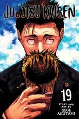 Jujutsu Kaisen, Vol. 19 цена и информация | Fantastinės, mistinės knygos | pigu.lt