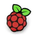 Raspberry Pi Dovanos, dekoracijos, gėlės internetu