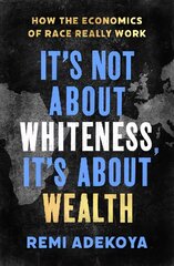 It's Not About Whiteness, It's About Wealth: How the Economics of Race Really Work kaina ir informacija | Socialinių mokslų knygos | pigu.lt