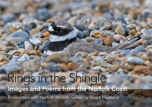 Rings in the Shingle: Images and Poems from the Norfolk Coast First kaina ir informacija | Poezija | pigu.lt