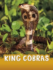 King Cobras kaina ir informacija | Knygos paaugliams ir jaunimui | pigu.lt