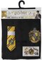 Rinkinys Harry Potter, M kaina ir informacija | Karnavaliniai kostiumai | pigu.lt