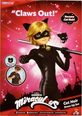 Набор масок с аксессуарами Miraculous Cat Noir цена и информация | Miraculous Товары для детей и младенцев | pigu.lt