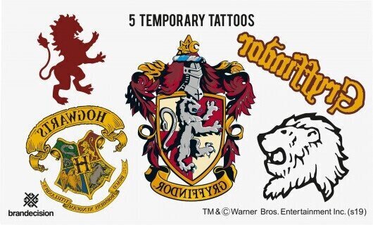 Rinkinys Harry Potter, S kaina ir informacija | Karnavaliniai kostiumai | pigu.lt