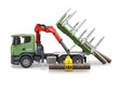 Sunkvežimis miškovežis Bruder Scania R su 3 rąstais, 03524, 3 m.+ цена и информация | Žaislai berniukams | pigu.lt