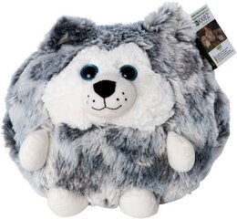 Minkštas žaislas Cozy Noxxiez Cuddle Pillow Husky, 35 cm kaina ir informacija | Minkšti (pliušiniai) žaislai | pigu.lt