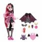 Lėlė su aksesuarų rinkiniu Monster High Core Draculaura цена и информация | Žaislai mergaitėms | pigu.lt